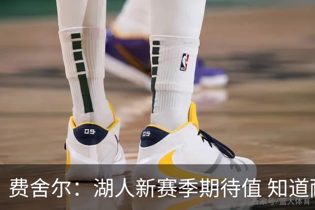 费舍尔：湖人新赛季期待值 知道耐心等于胜利